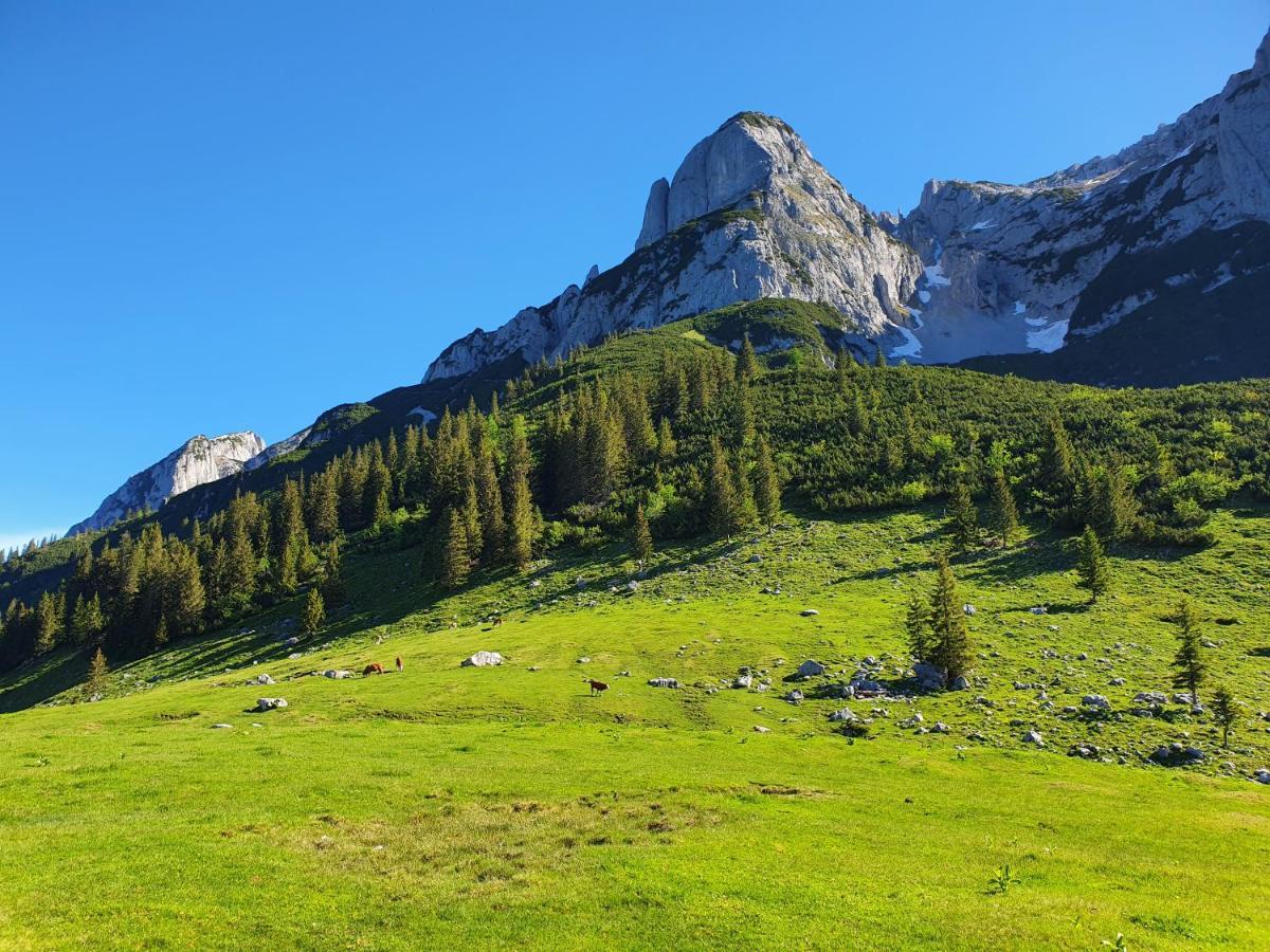Haus Salzkammergut Obertraun Dış mekan fotoğraf