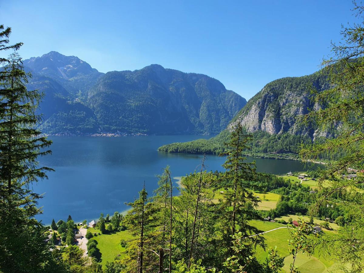 Haus Salzkammergut Obertraun Dış mekan fotoğraf
