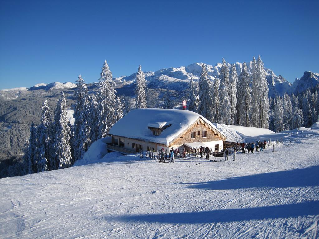 Haus Salzkammergut Obertraun Dış mekan fotoğraf