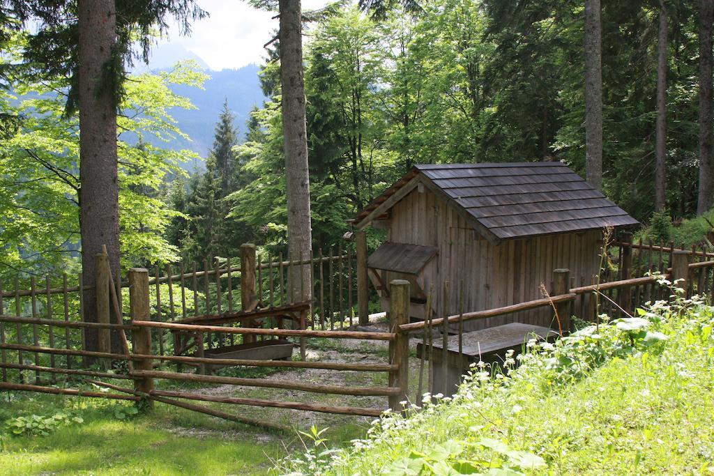 Haus Salzkammergut Obertraun Dış mekan fotoğraf