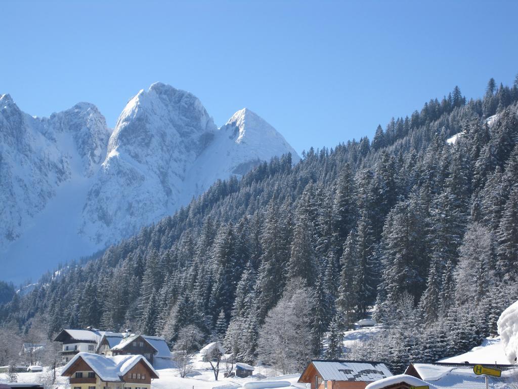 Haus Salzkammergut Obertraun Dış mekan fotoğraf